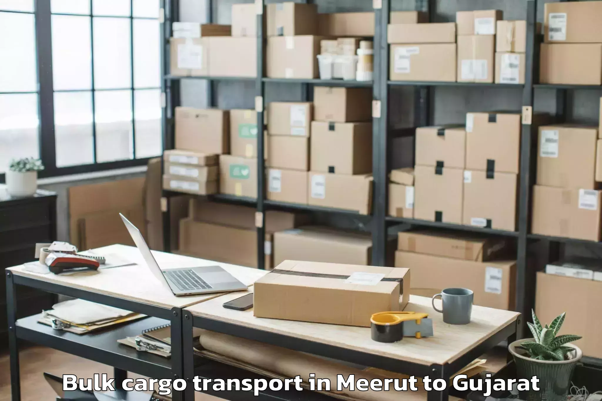 Top Meerut to Dhrangadhra Bulk Cargo Transport Available